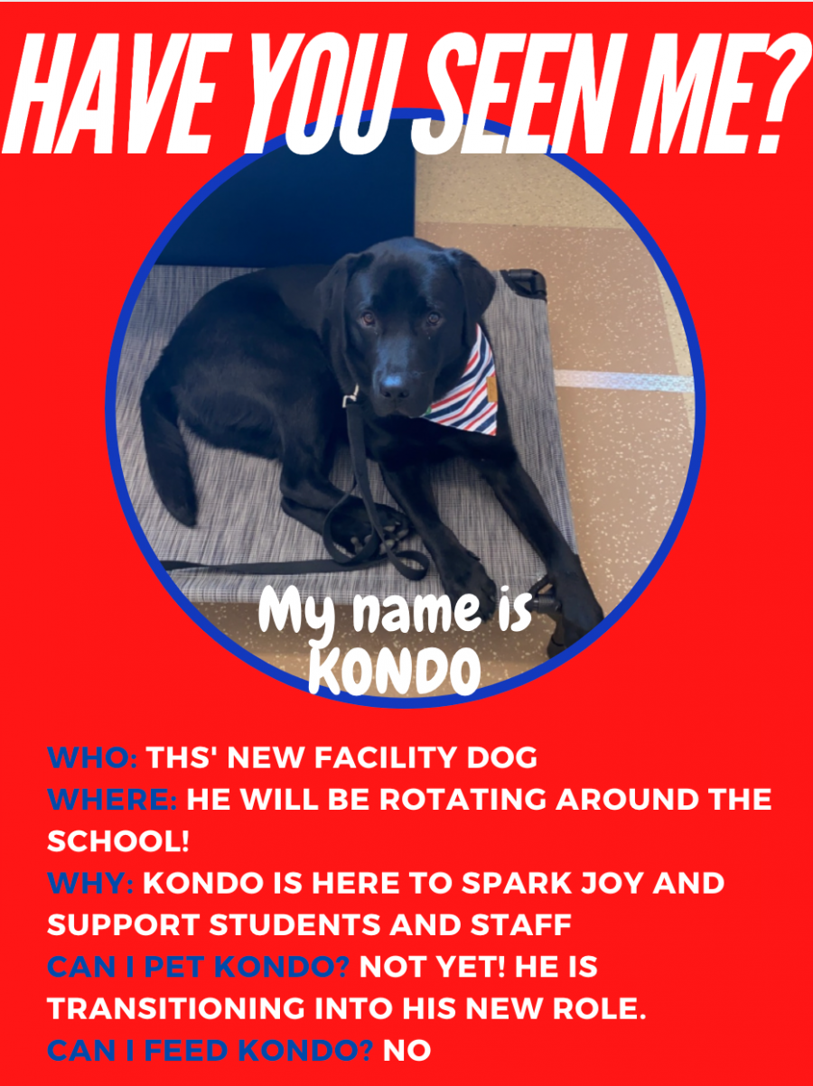 Photos of service dog-Kondo